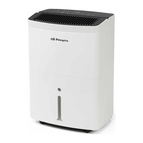 Orbegozo DH 3010